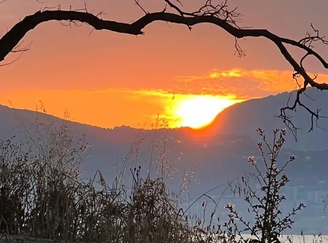 Neuve Le Galatee Pied Dans L'eau *