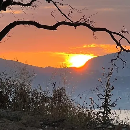 Neuve Le Galatee Pied Dans L'eau *
