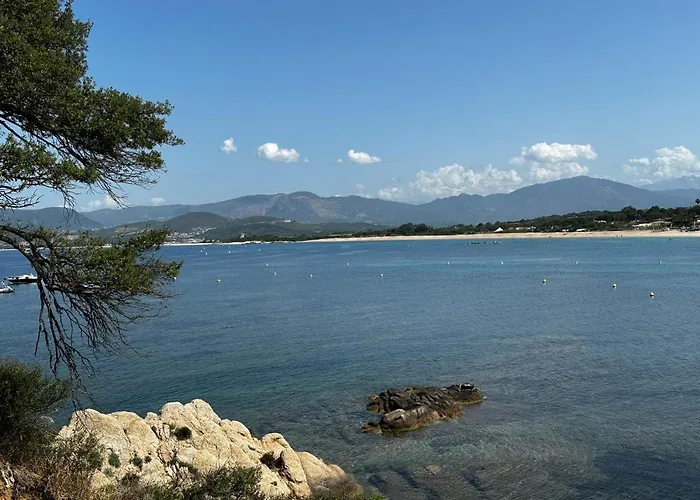 Neuve Le Galatee Pied Dans L'eau * Porticcio (Corsica)